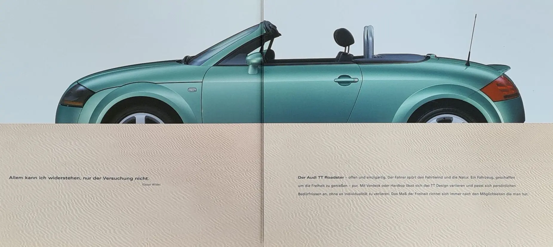 Audi TT MK1 (8N) - Hardtop Talisman