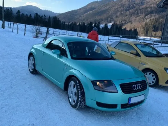 Audi TT MK1 (8N) - Hardtop Talisman
