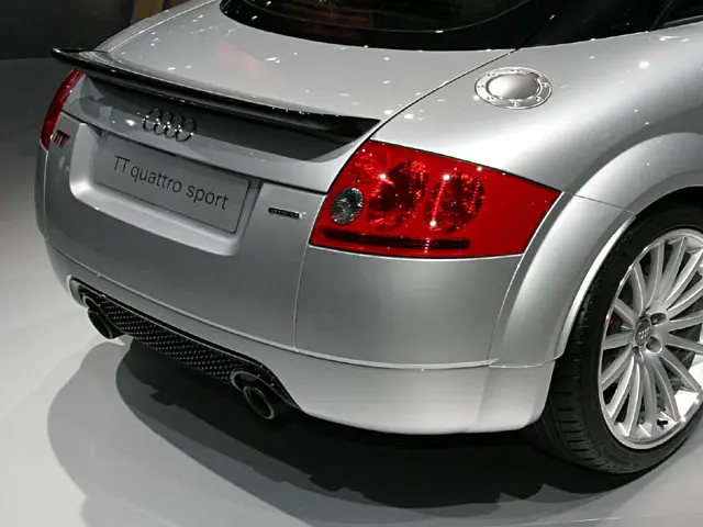 Audi TT MK1 (8N) - Becquet surdimensionné Noir fantome
